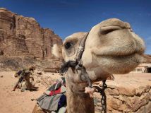 Nowe Szkolenie: "CAMEL – Procedury i Parametry"